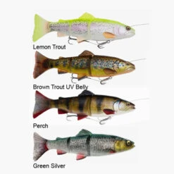 Savage Gear 4D Line Thru Trout -Vissen Winkel 4d line thru trout 2