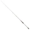 PENN Conflict Jigging Cast -Vissen Winkel conflict jigging cast